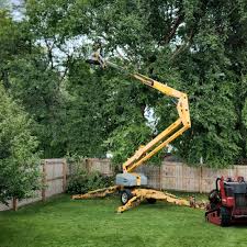 Best Hedge Trimming  in Kenmar, PA